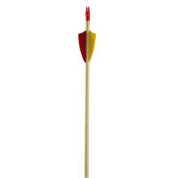 Complete arrow | BSW Hardwood - wood - with natural...
