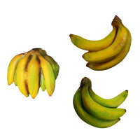 InForm 3D Banana