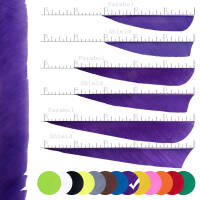 Pack of 20 | SPHERE Solid - Feather - Single-Color - various Lengths & Shapes