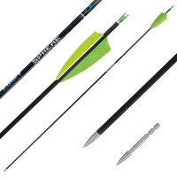 Complete arrow | SPHERE Ghost 4.2 - Carbon