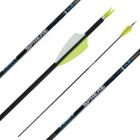 Complete arrow | SPHERE Ghost 4.2 - Carbon