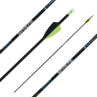 Complete arrow | SPHERE Ghost 4.2 - Carbon