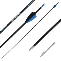 Complete arrow | SPHERE Ghost 4.2 - Carbon