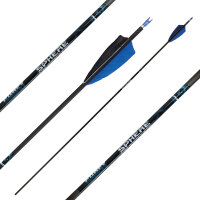 Complete arrow | SPHERE Ghost 4.2 - Carbon
