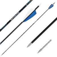 Complete arrow | SPHERE Ghost 4.2 - Carbon