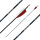 Complete arrow | SPHERE Ghost 4.2 - Carbon
