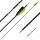 Complete arrow | SPHERE Ghost 4.2 - Carbon