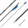 Complete arrow | SPHERE Ghost 4.2 - Carbon