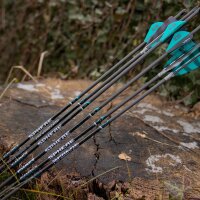 Complete arrow | SPHERE Ghost 5.2 - Carbon