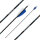 Complete arrow | SPHERE Ghost 6.2 - Carbon