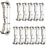 MATHEWS Lift 33 - 55-80 lbs - Compoundbogen