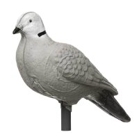 IBB 3D Pigeon