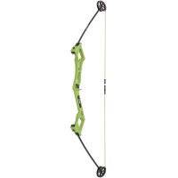 BEAR ARCHERY Valiant - 34 inches - 7-16,5 lbs - Beginners...