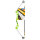 BEAR ARCHERY Valiant - 34 inches - 7-16,5 lbs - Beginners bow