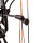 BEAR ARCHERY Royale RTH Extra - 5-50 lbs - Compound bow