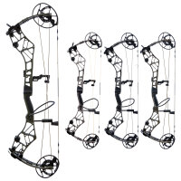 BEAR ARCHERY Persist 33 - 45-70 lbs - Compound bow