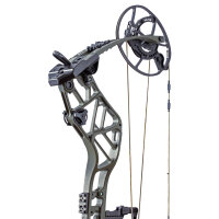 BEAR ARCHERY Persist 33 - 45-70 lbs - Compound bow