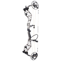 BEAR ARCHERY Persist 33 - 45-70 lbs - Compound bow