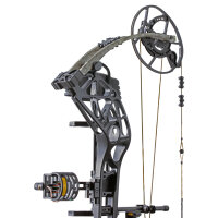 BEAR ARCHERY Whitetail INT RTH - 45-70 lbs - Compound bow