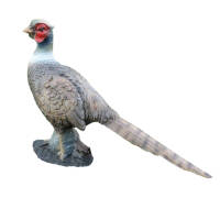 FRANZBOGEN - Pheasant