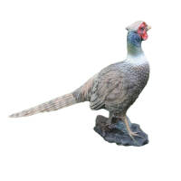 FRANZBOGEN - Pheasant