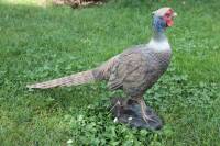 FRANZBOGEN - Pheasant