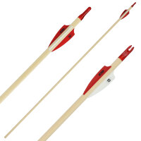 Complete arrow | BSW Arizona - wood