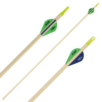 Complete arrow | BSW Arizona - wood