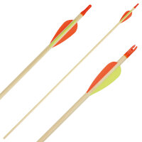 Complete arrow | BSW Arizona - wood