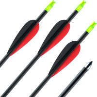 Complete arrow | 41-55 lbs | Carbon Arrow | ExoSPHERE...