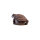 WILDCRETE 3D Aga - Toad