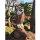 WILDCRETE 3D Spotted Owl