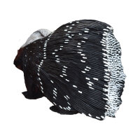 WILDCRETE 3D Cape Porcupine
