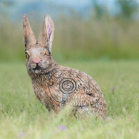 WILDCRETE 3D Cottontail Rabbit