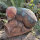 WILDCRETE 3D Fly