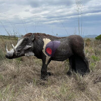 WILDCRETE 3D Warthog Vital Area