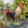 IBB 3D Rooster