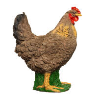 IBB 3D Hen
