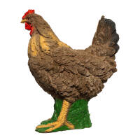 IBB 3D Hen