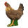IBB 3D Hen