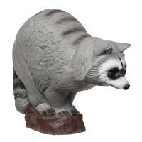 IBB 3D Raccoon - Zorro