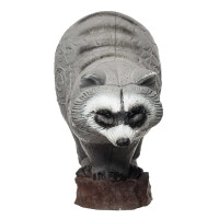 IBB 3D Raccoon - Zorro