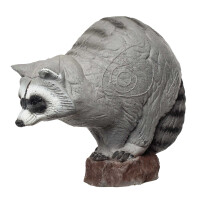 IBB 3D Raccoon - Zorro