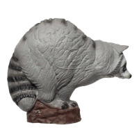 IBB 3D Raccoon - Zorro