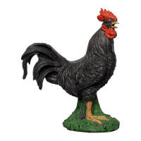 IBB 3D Rooster - black