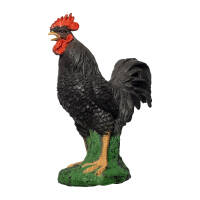 IBB 3D Rooster - black