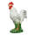 IBB 3D Rooster