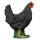 IBB 3D Hen - black