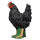 IBB 3D Hen - black