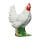 IBB 3D Hen - white